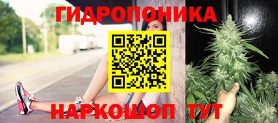 эйфоретик Бугуруслан